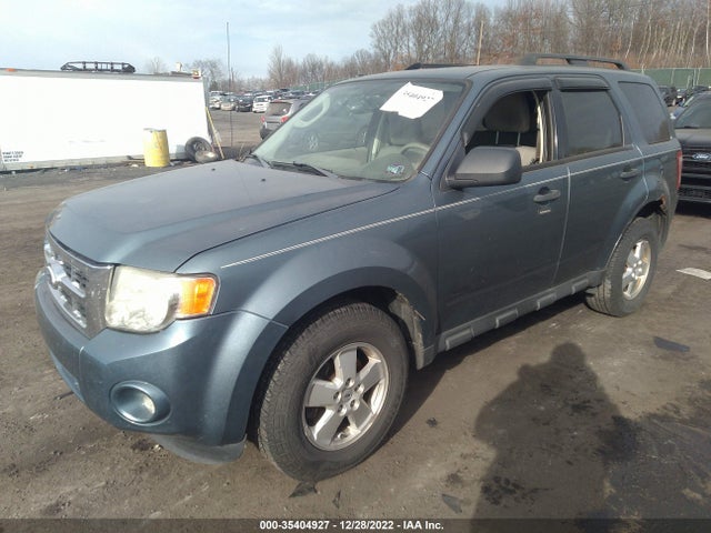 2011 FORD ESCAPE XLT VIN: 1FMCU9DG5BKA85692