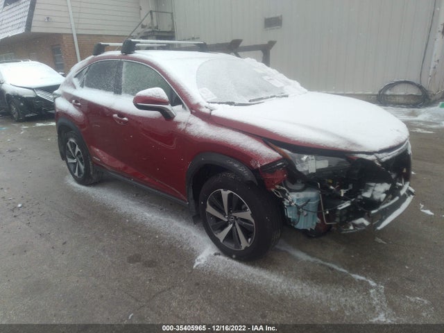 2021 Lexus NX, VIN: JTJGJRDZ4M2158518
