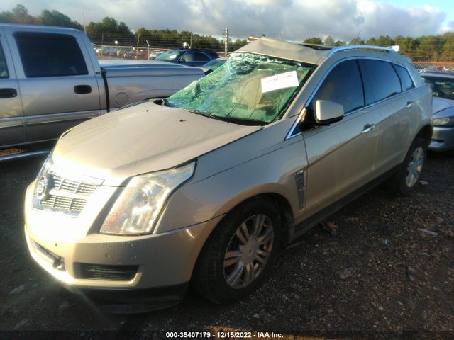 2010 CADILLAC SRX LUXURY COLLECTION VIN: 3GYFNAEY2AS654602