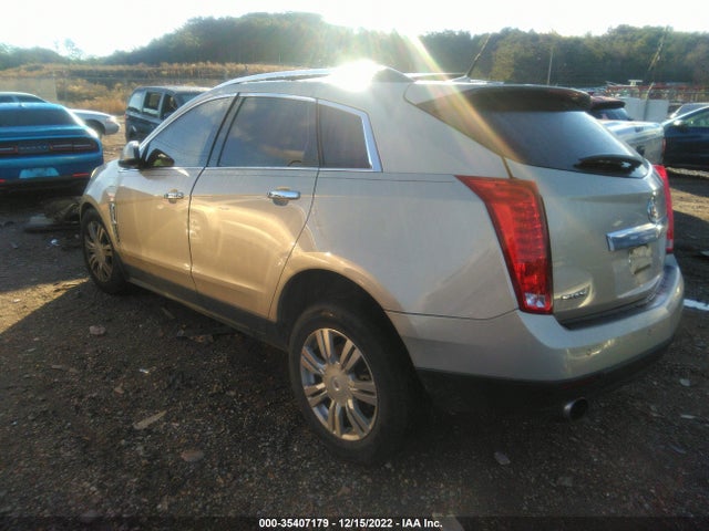 2010 CADILLAC SRX LUXURY COLLECTION VIN: 3GYFNAEY2AS654602