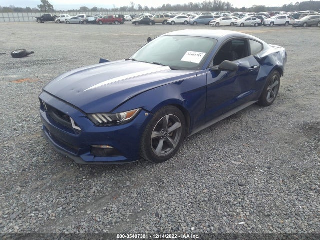 2015 Ford Fastback, VIN: 1FA6P8AM7F5335974
