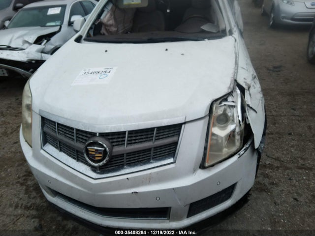 2010 CADILLAC SRX LUXURY COLLECTION VIN: 3GYFNAEY2AS633698