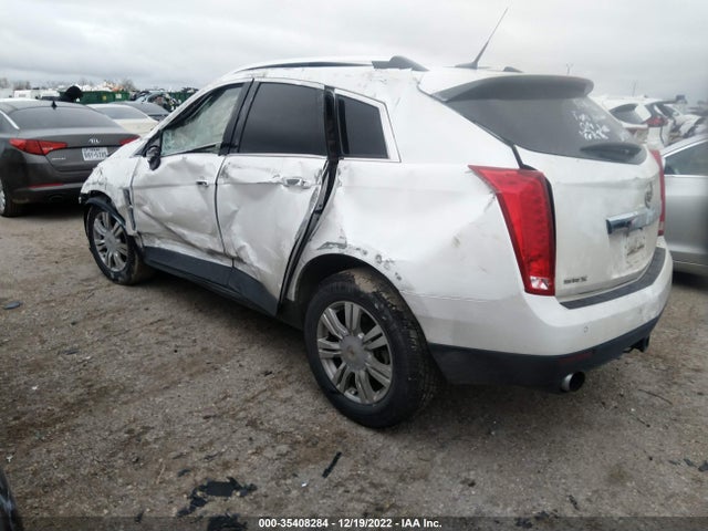 2010 CADILLAC SRX LUXURY COLLECTION VIN: 3GYFNAEY2AS633698