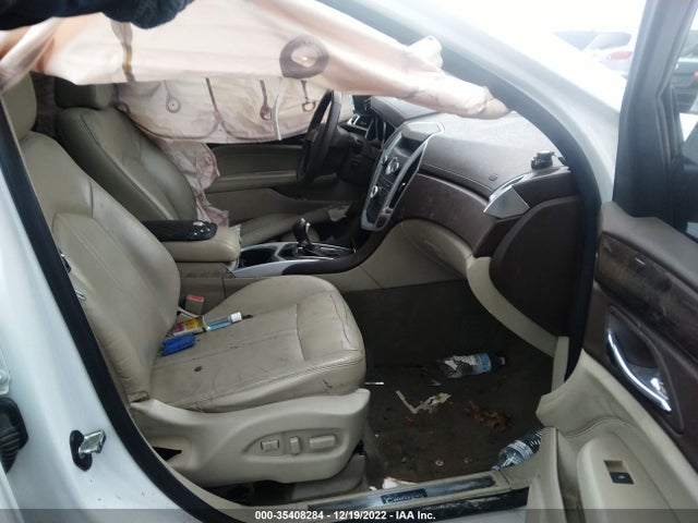 2010 CADILLAC SRX LUXURY COLLECTION VIN: 3GYFNAEY2AS633698