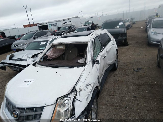 2010 CADILLAC SRX LUXURY COLLECTION VIN: 3GYFNAEY2AS633698