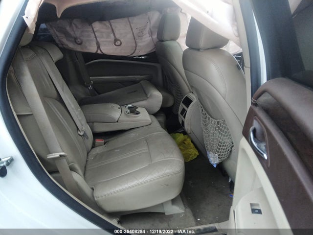2010 CADILLAC SRX LUXURY COLLECTION VIN: 3GYFNAEY2AS633698