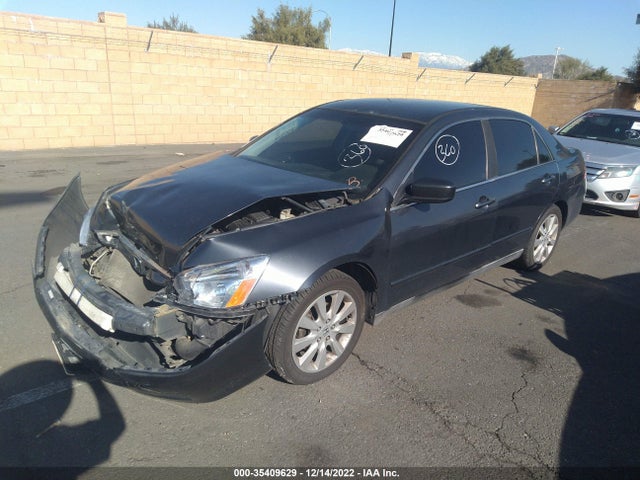 2007 HONDA ACCORD SDN LX SE VIN: 1HGCM66407A029261