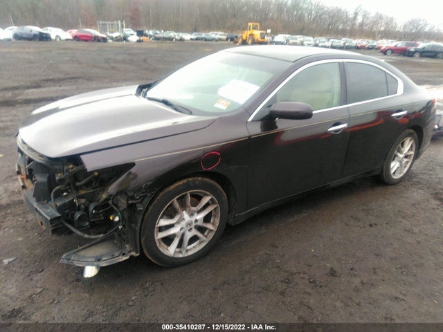 2010 NISSAN MAXIMA 3.5 S VIN: 1N4AA5AP3AC803059