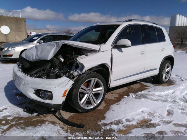 WVGAV3AX1EW069248 Volkswagen Tiguan R-line