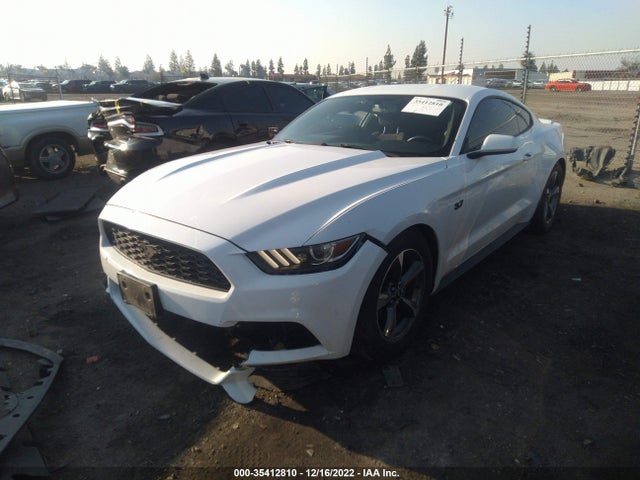 2015 Ford Fastback, VIN: 1FA6P8AM0F5370940