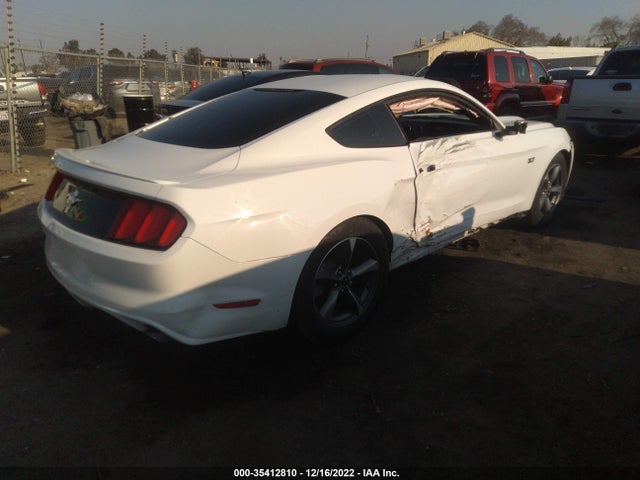 2015 Ford Fastback, VIN: 1FA6P8AM0F5370940