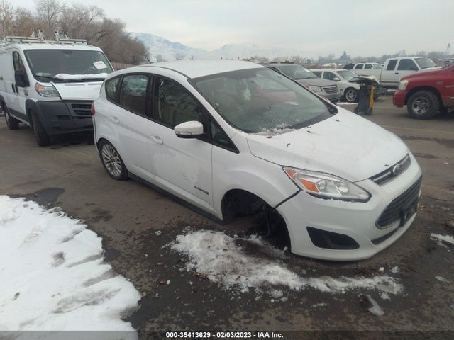 2018 Ford C-Max, VIN: 1FADP5AU1JL104787