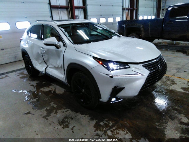 2020 Lexus NX, VIN: JTJGARDZ3L5001141