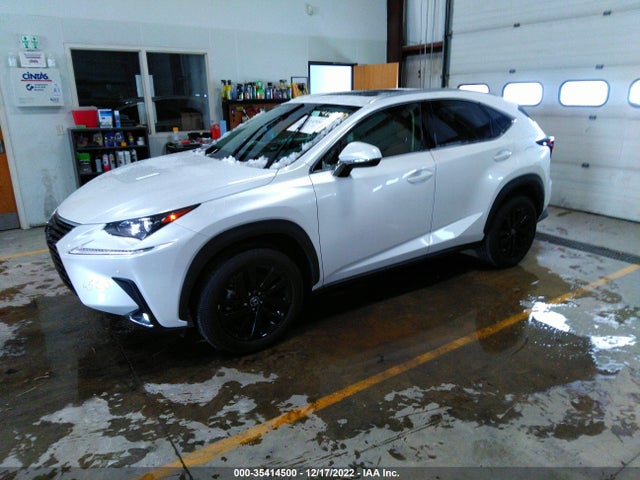 2020 Lexus NX, VIN: JTJGARDZ3L5001141