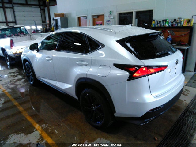 2020 Lexus NX, VIN: JTJGARDZ3L5001141