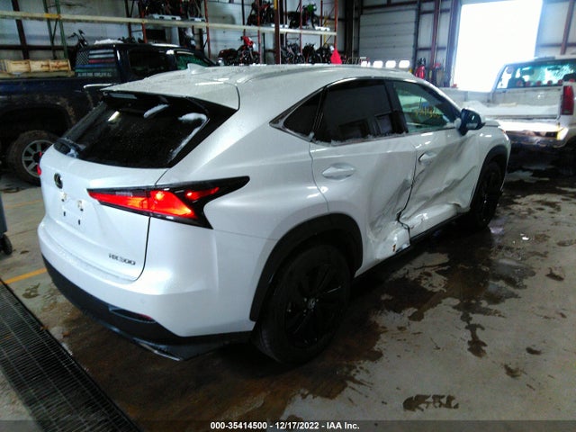 2020 Lexus NX, VIN: JTJGARDZ3L5001141