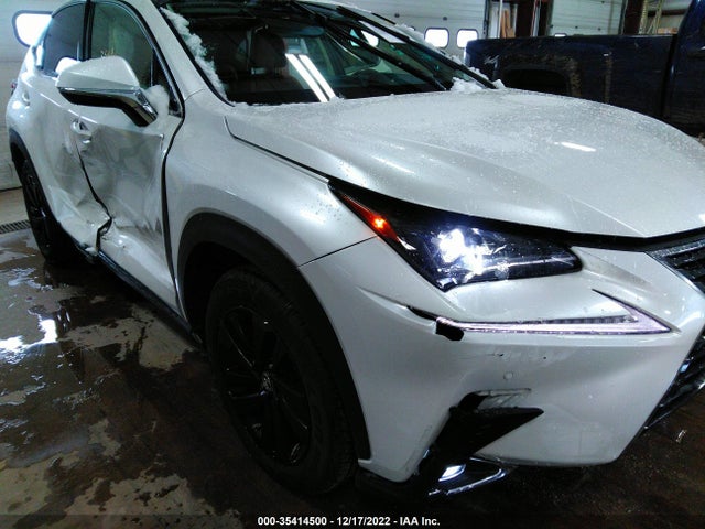 2020 Lexus NX, VIN: JTJGARDZ3L5001141