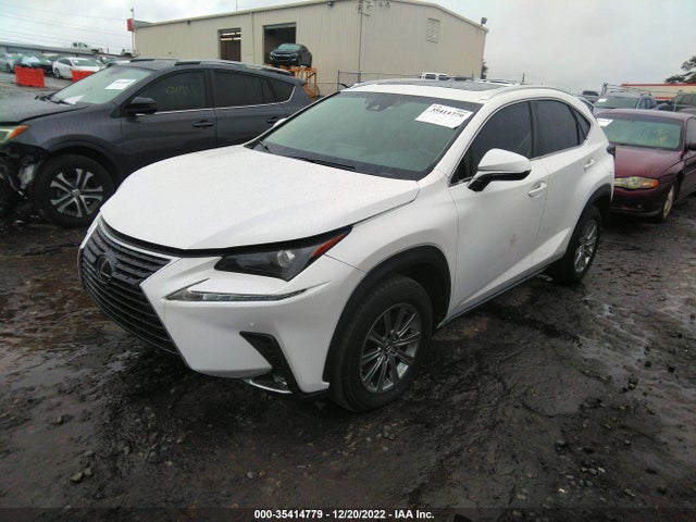 2020 Lexus NX, VIN: JTJGARDZ8L5012409