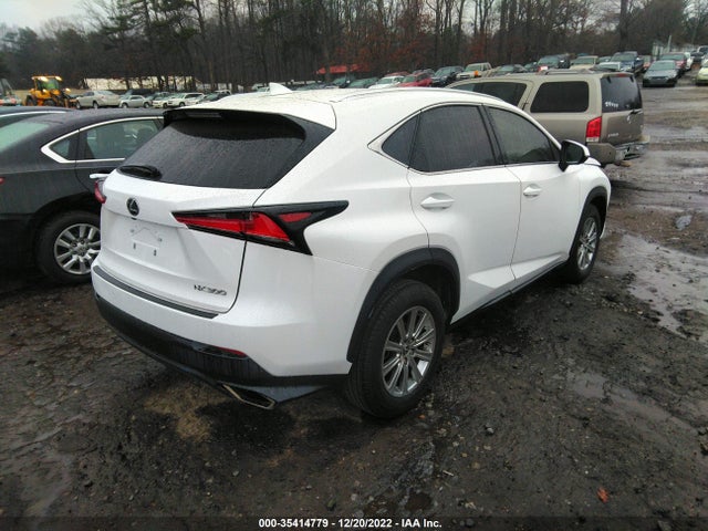 2020 Lexus NX, VIN: JTJGARDZ8L5012409