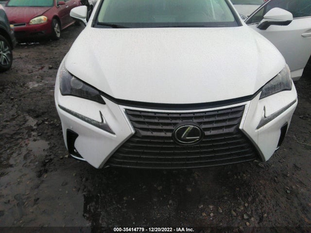 2020 Lexus NX, VIN: JTJGARDZ8L5012409