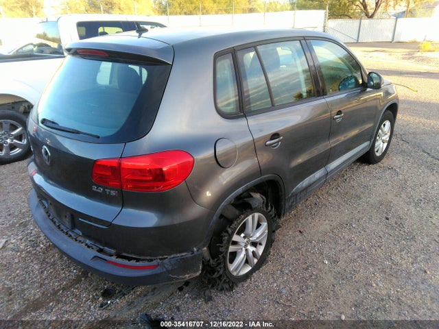 WVGAV3AX9EW618355 Volkswagen TIGUAN S