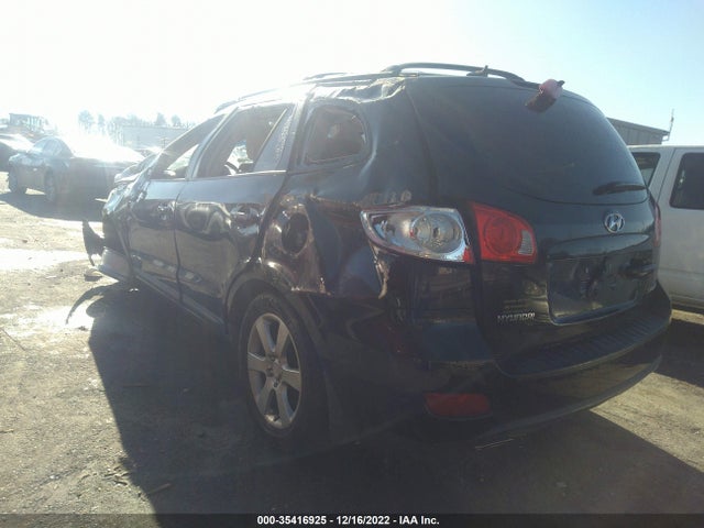 2009 HYUNDAI SANTA FE SE VIN: 5NMSH13E09H309611