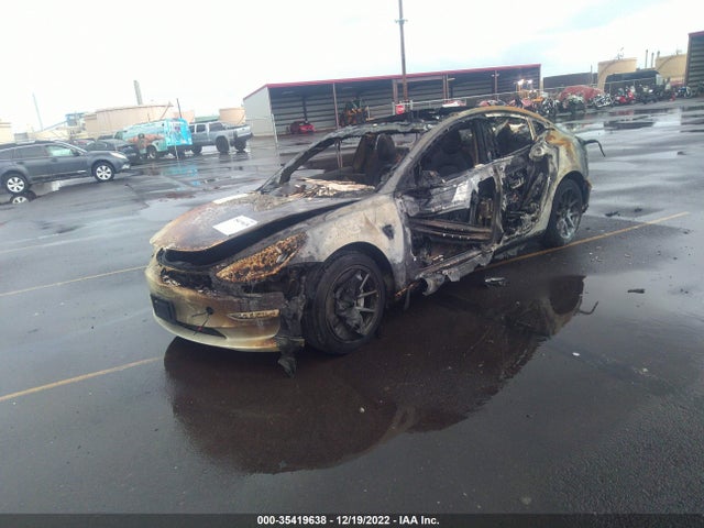 Tesla Model 3 Standard Range 2020 5YJ3E1EA1LF504519 Image 2