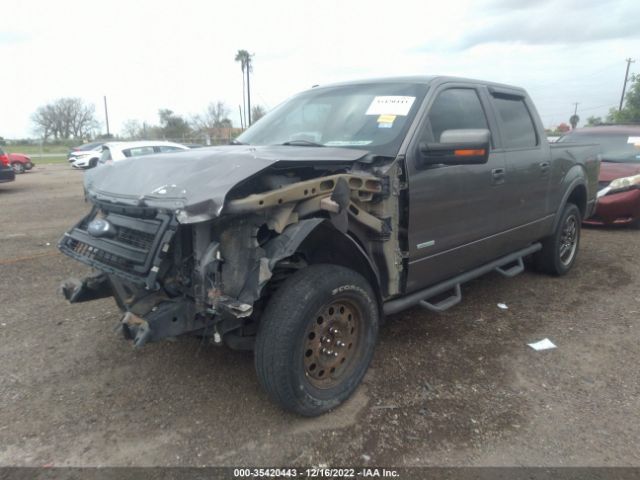 1FTFW1ET3EKD50915 Ford F-150 Xl/xlt/fx4/lariat