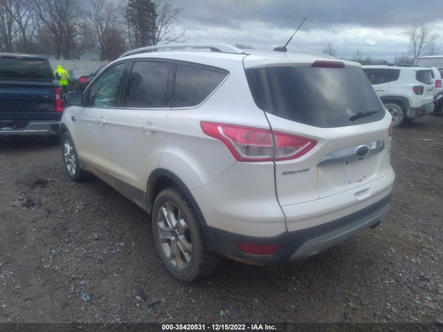 2014 FORD ESCAPE TITANIUM VIN: 1FMCU9J95EUA15463