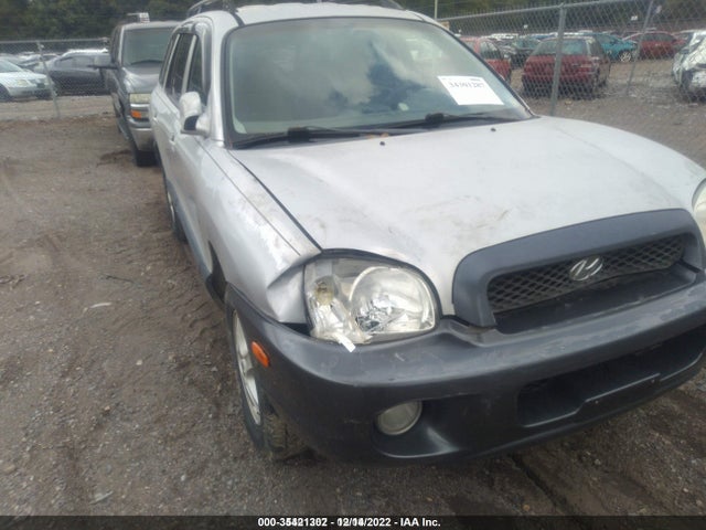 2003 HYUNDAI SANTA FE GLS/LX VIN: KM8SC13D53U556639