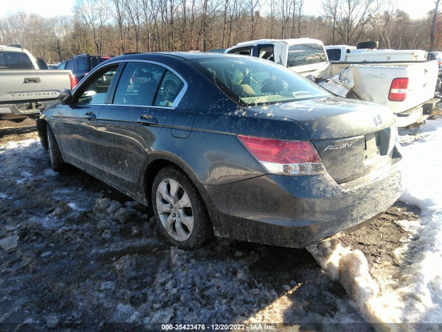2010 HONDA ACCORD SDN EX VIN: 1HGCP2F71AA001972