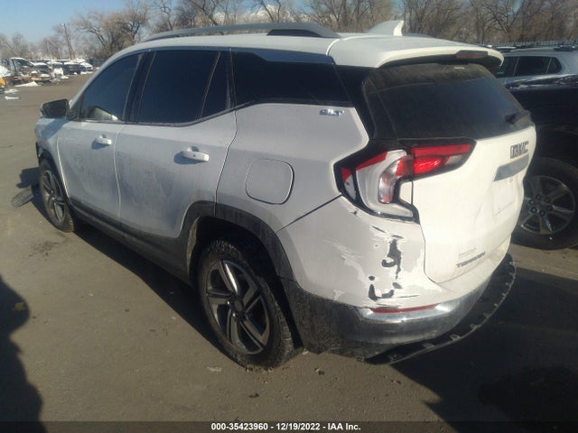 2020 GMC Terrain, VIN: 3GKALPEV0LL270205