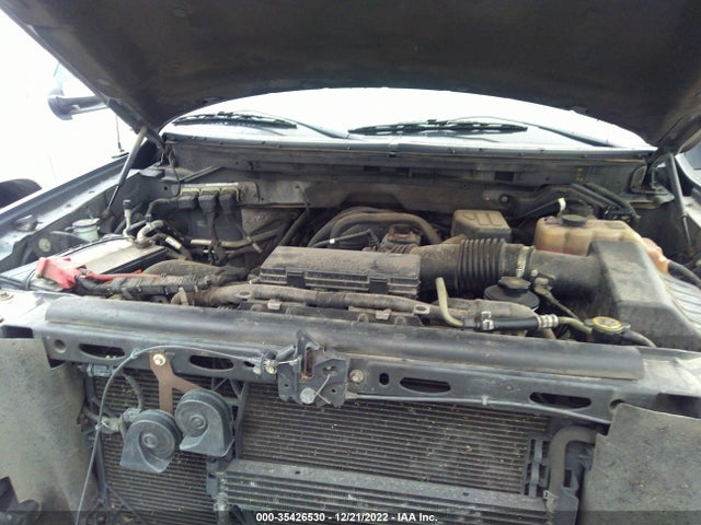 2010 FORD F-150 XL/XLT VIN: 1FTEW1E85AFD42809