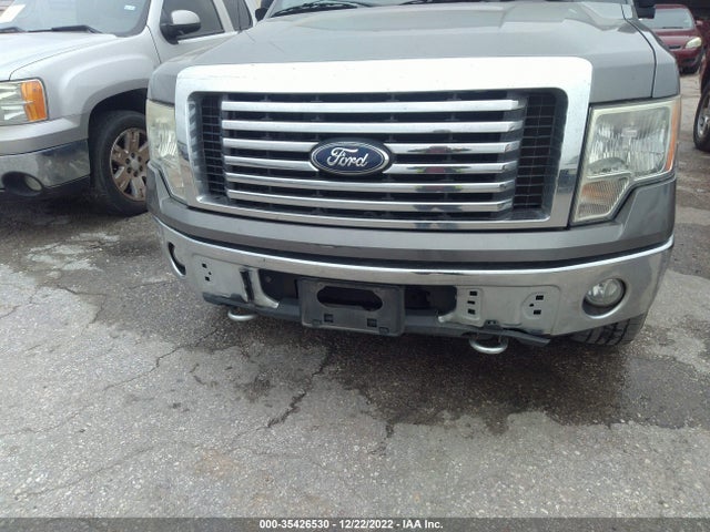 2010 FORD F-150 XL/XLT VIN: 1FTEW1E85AFD42809