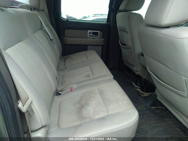 2010 FORD F-150 XL/XLT VIN: 1FTEW1E85AFD42809
