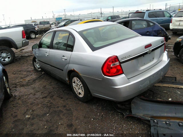2004 CHEVROLET MALIBU VIN: 1G1ZS52F34F162829