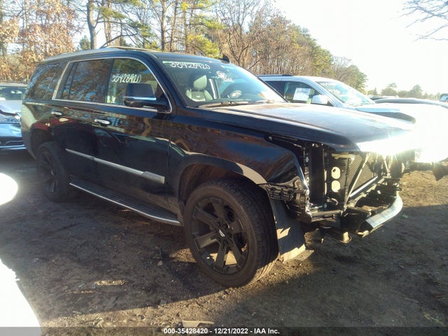 2020 Cadillac Escalade, VIN: 1GYS4BKJXLR291308
