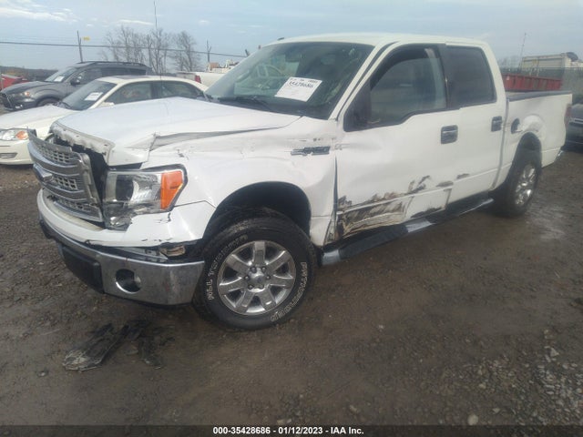 2013 FORD F-150 XL/XLT/FX2/LARIAT VIN: 1FTFW1CF7DFB97668