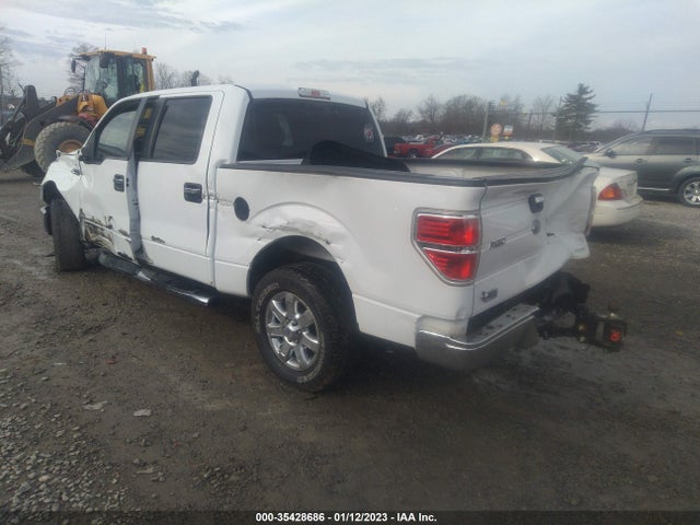 2013 FORD F-150 XL/XLT/FX2/LARIAT VIN: 1FTFW1CF7DFB97668