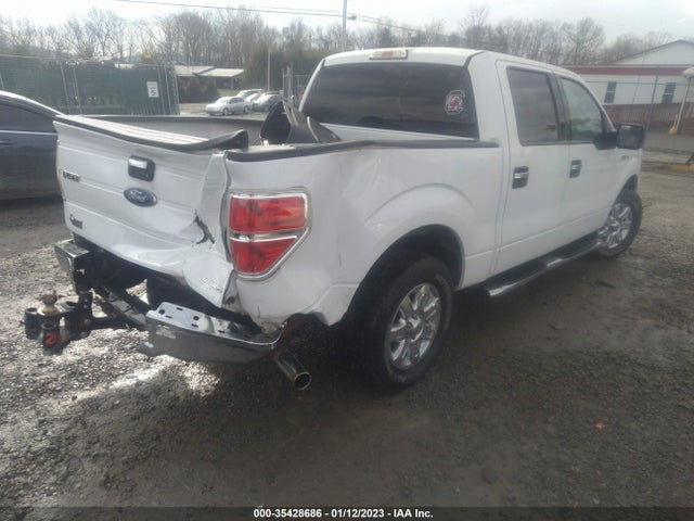 2013 FORD F-150 XL/XLT/FX2/LARIAT VIN: 1FTFW1CF7DFB97668