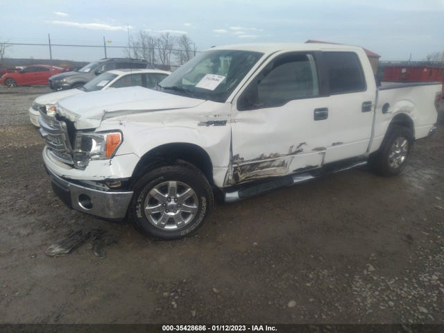 2013 FORD F-150 XL/XLT/FX2/LARIAT VIN: 1FTFW1CF7DFB97668