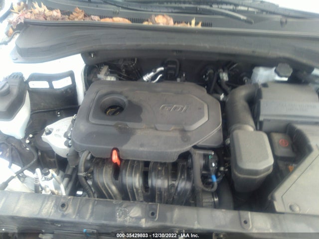 2020 Hyundai Santa Fe, VIN: 5NMS3CAD2LH251576