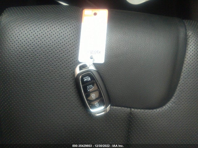 2020 Hyundai Santa Fe, VIN: 5NMS3CAD2LH251576