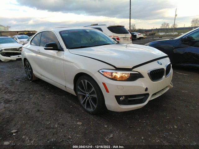 2015 BMW 2 Series, VIN: WBA1F7C52FVX95919