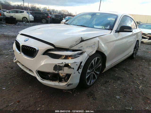 2015 BMW 2 Series, VIN: WBA1F7C52FVX95919