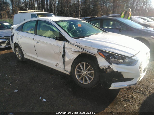 2019 Hyundai Sonata, VIN: 5NPE24AF7KH759597