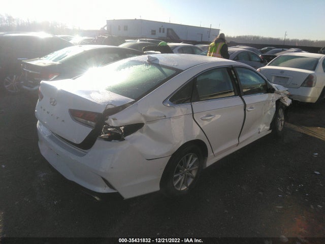 2019 Hyundai Sonata, VIN: 5NPE24AF7KH759597
