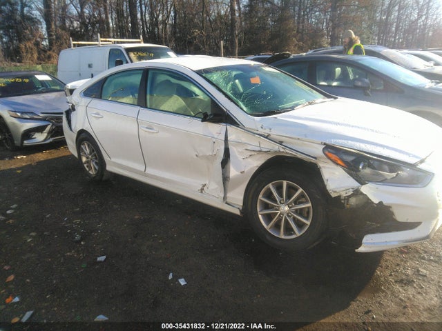 2019 Hyundai Sonata, VIN: 5NPE24AF7KH759597