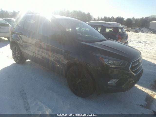 2019 Ford Escape, VIN: 1FMCU9GD7KUA64896