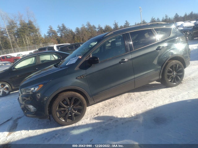 2019 Ford Escape, VIN: 1FMCU9GD7KUA64896